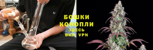 трава Армянск